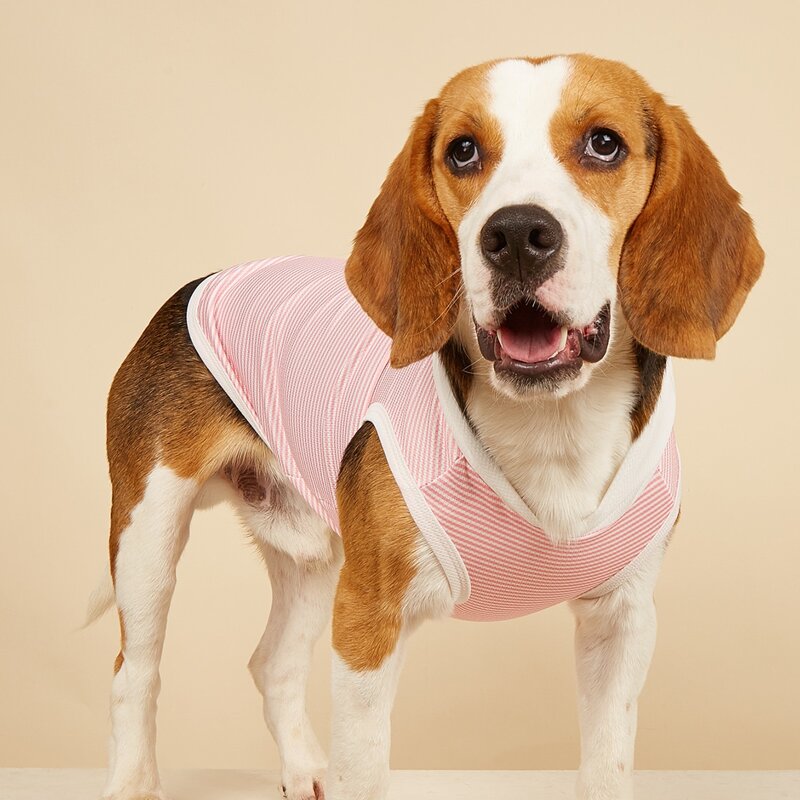 

Striped Pattern Pet Tank, Pink