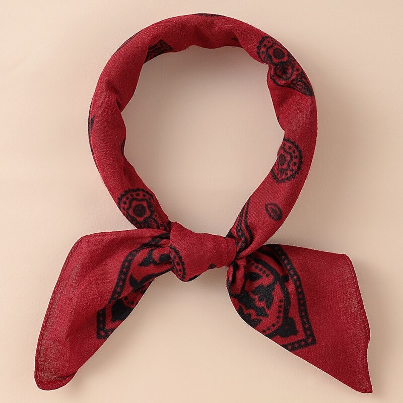 

Guys Paisley Pattern Scarf, Red