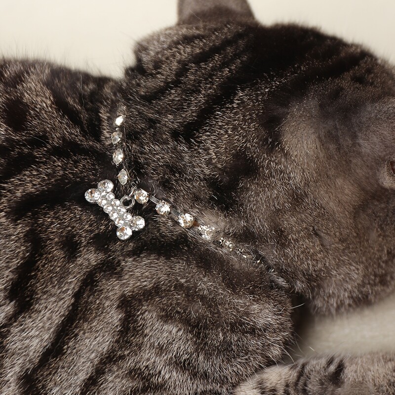 

1pc Rhinestone Decor Bone Pet Necklace, Clear
