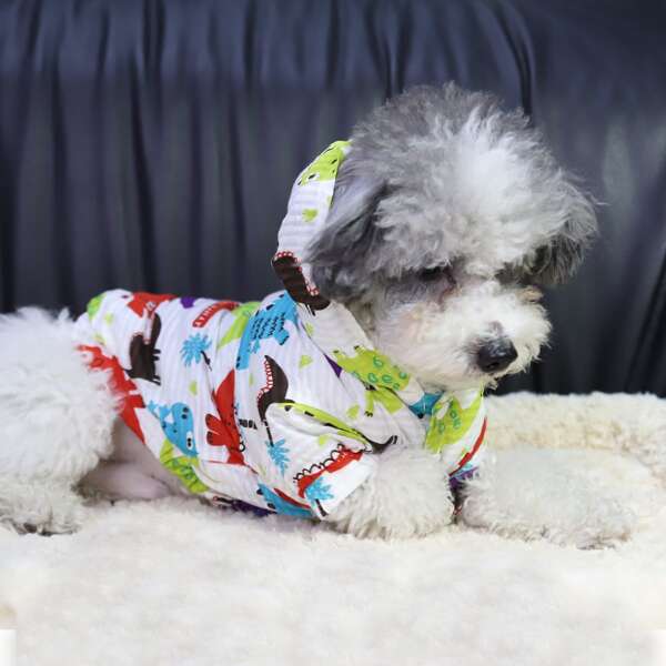 

Dinosaur Print Pet Hoodie, Multicolor