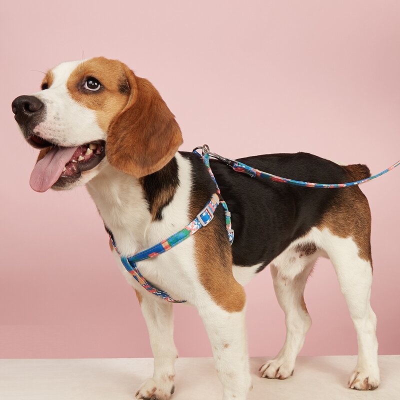 

1pc Geometric Pattern Pet Harness & 1pc Leash, Multicolor
