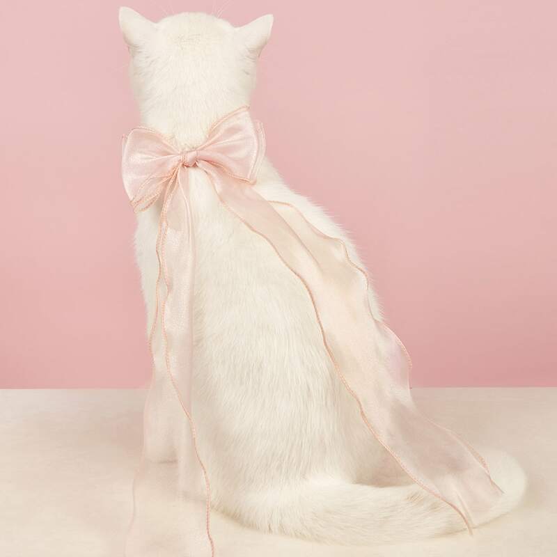 

Plain Pet Bow, Pink