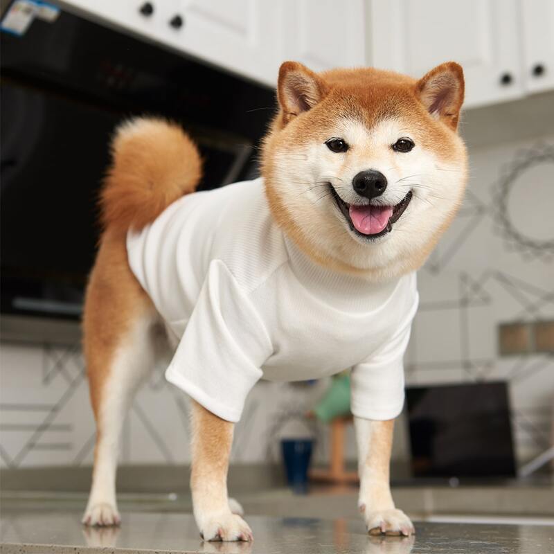 

Solid Color Pet Tee, White