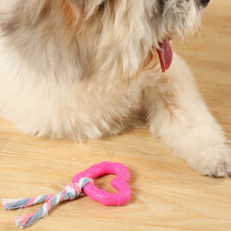 

1pc Heart Design Pet Chew Toy, Multicolor