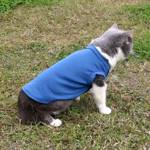 

Solid Color Pet Tank, Blue