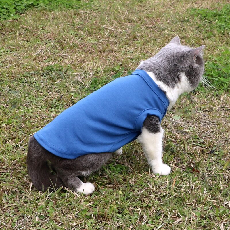 

Solid Color Pet Tank, Blue