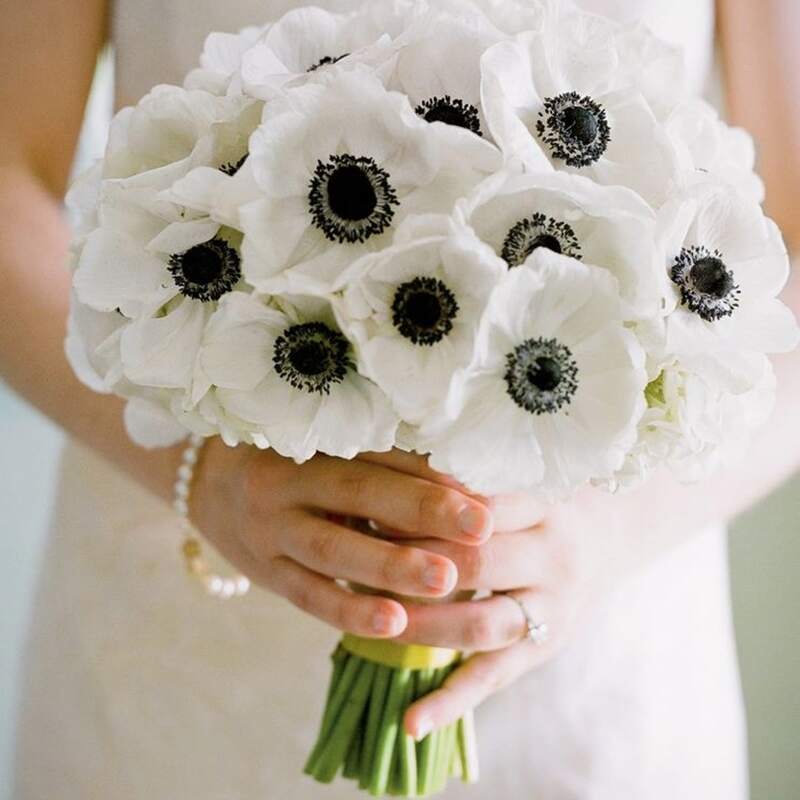 

1branch Artificial Flower, White
