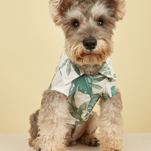 

Leaf Print Pet Shirt, Multicolor