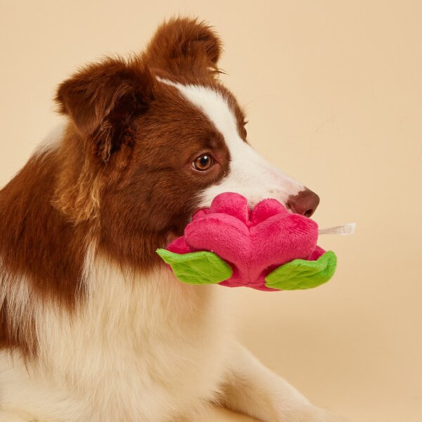 

1pc Flower Shaped Pet Plush Toy, Hot pink