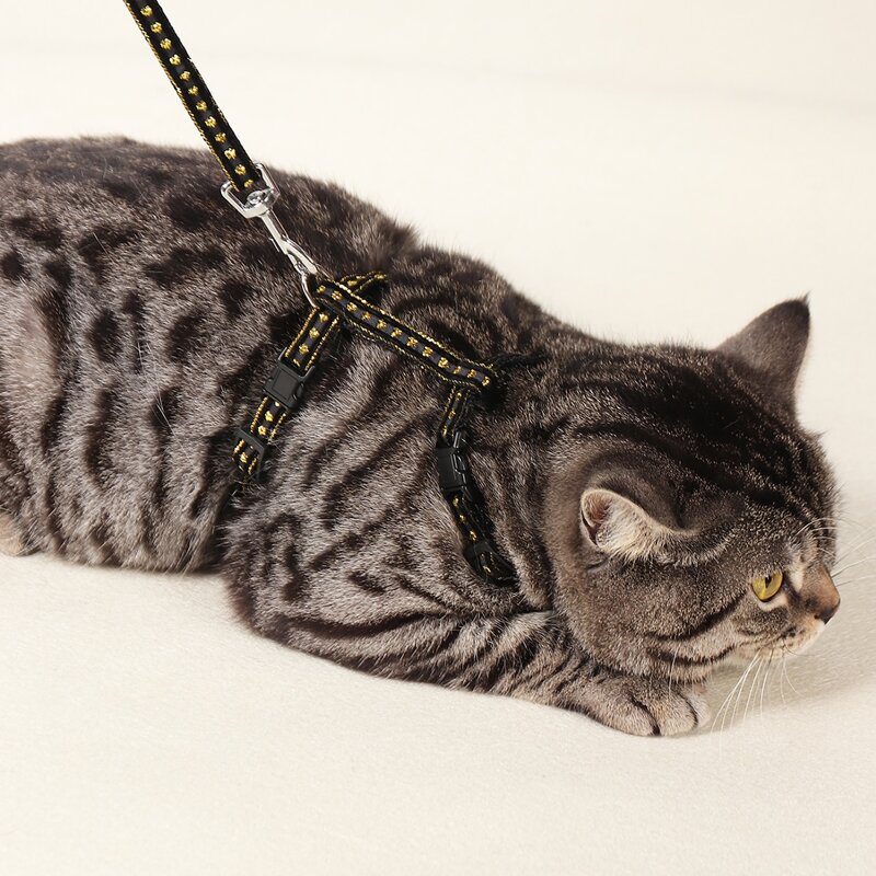 

1pc Simple Pet Harness & 1pc Leash, Black