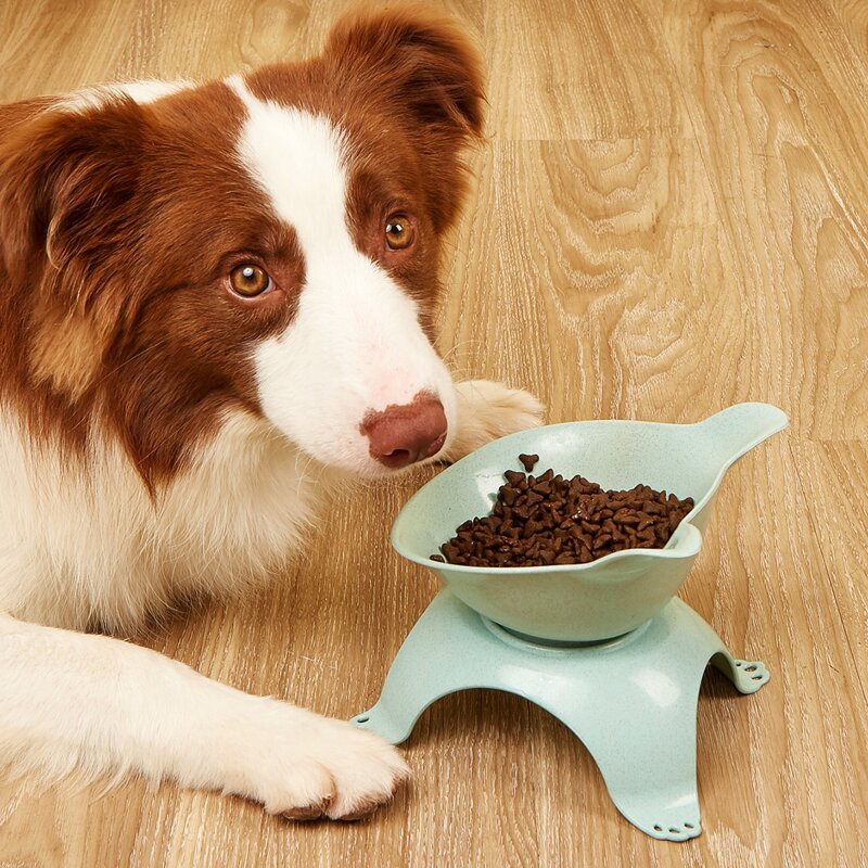 

1pc Non-slip Neck Protector Pet Bowl, Mint green