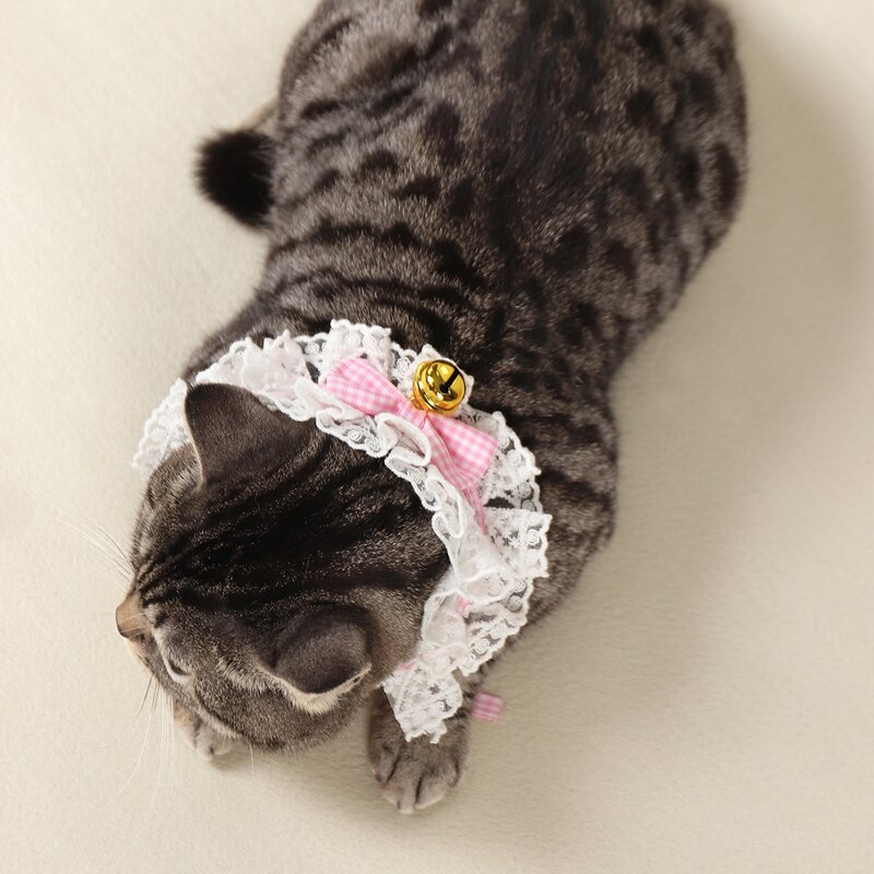 

Bow Decor Lace Pet Necklace, Pink