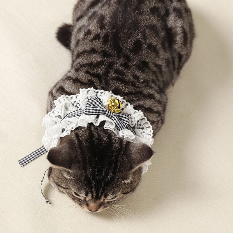 

Bow Decor Lace Pet Necklace, Black and white