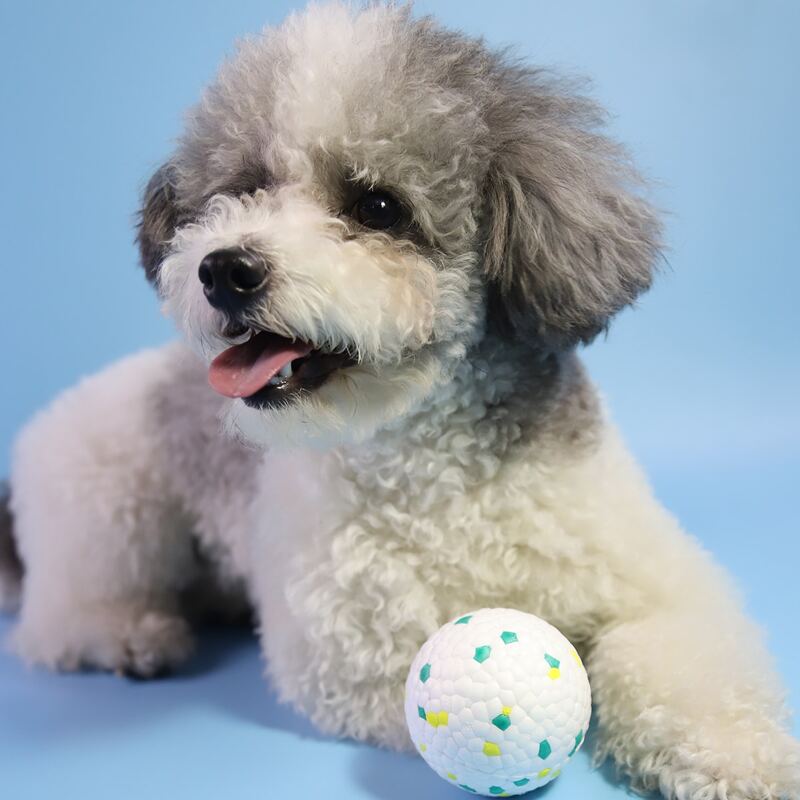 

1pc Pet Chew Toy Ball, Multicolor