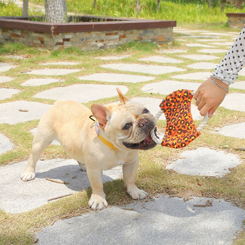

Leopard Print Pet Training Frisbee, Coral orange