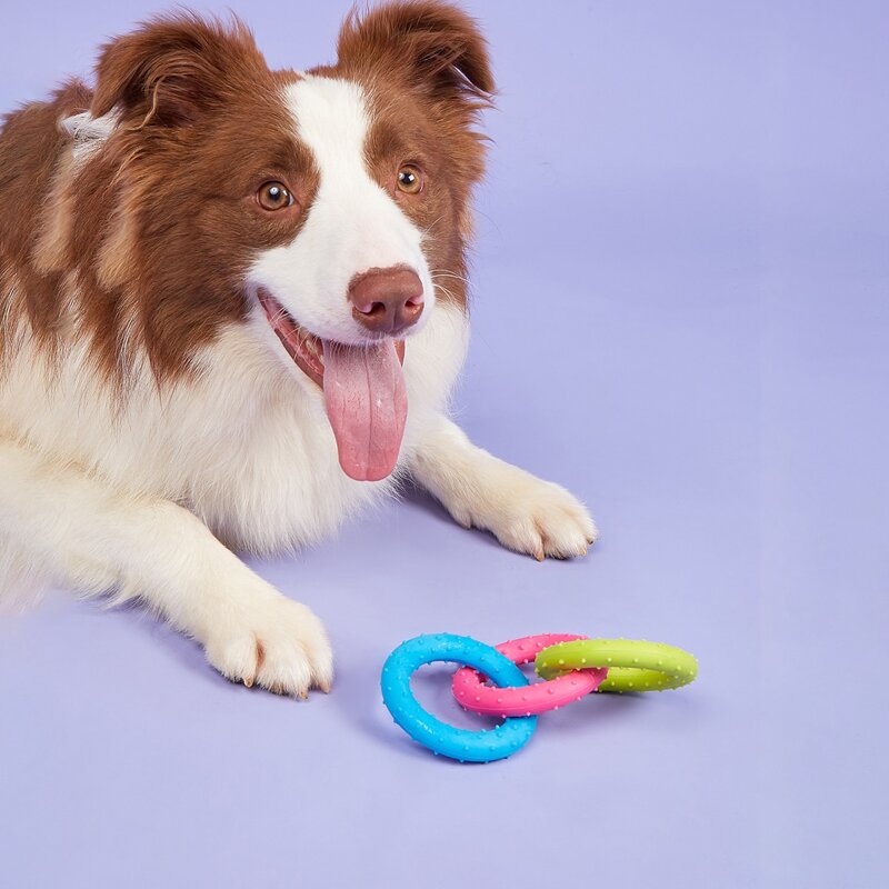 

1pc Pet Chew Toy Ring, Multicolor