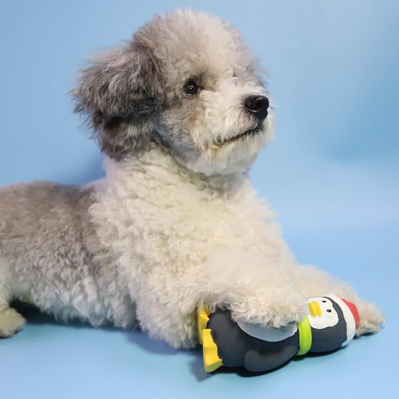 

Penguin Shaped Pet Sound Toy, Multicolor