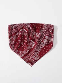 Paisley Print Crop Bandana Top - Burgundy - View 3