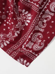 Paisley Print Crop Bandana Top - Burgundy - View 4