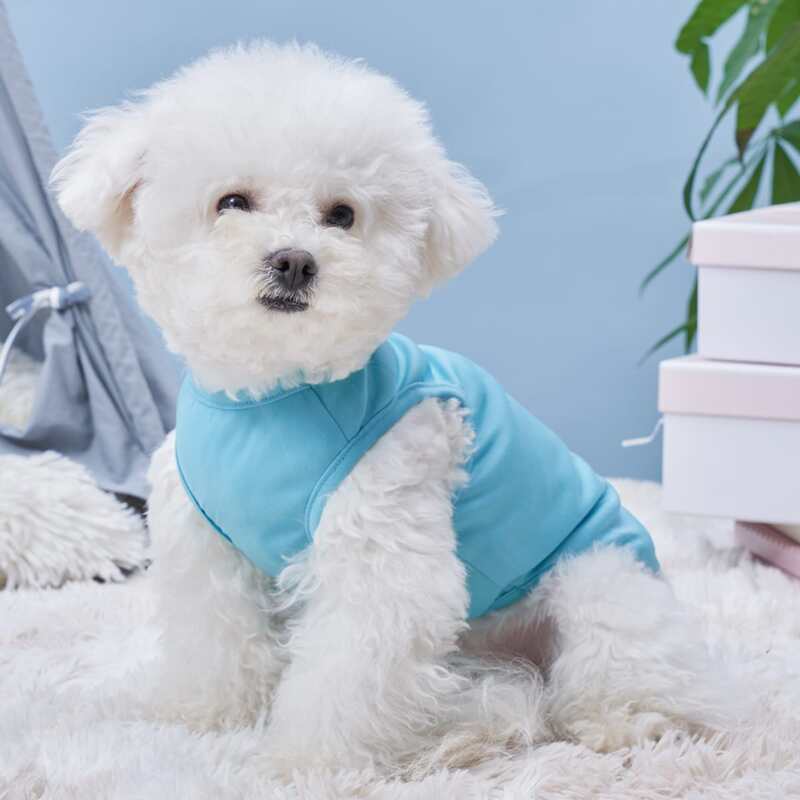 

Star Print Pet Tank, Blue