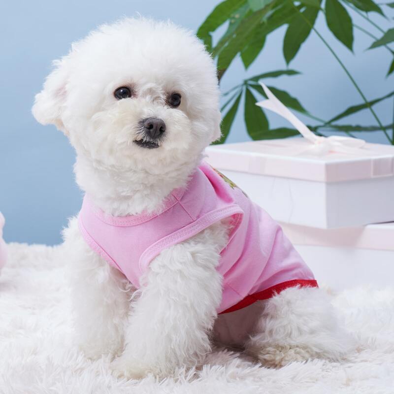 

Strawberry Print Pet Tank Top, Pink