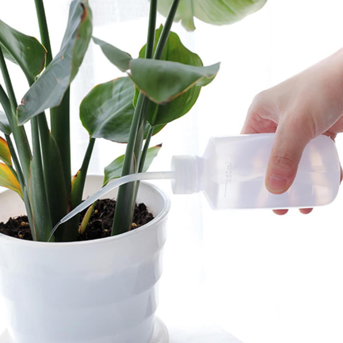

1pc Watering Squeeze Bottle, Clear