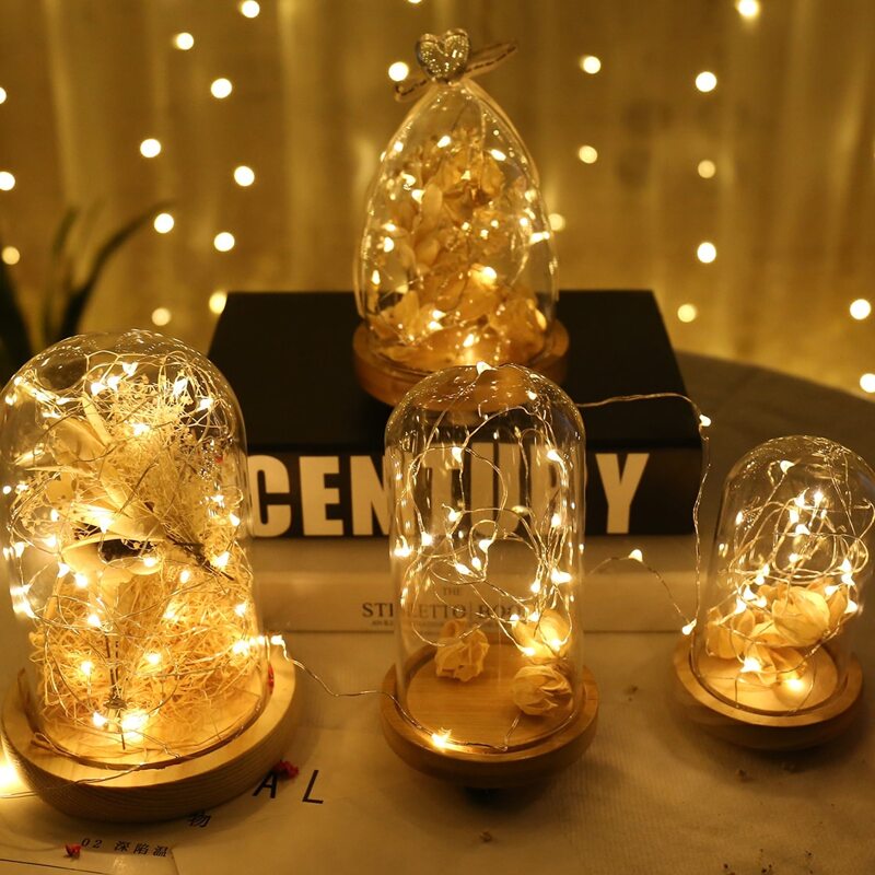 

1pc 1m String Light, White