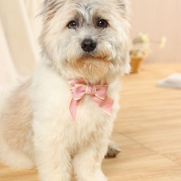 

Bow Detail Pet Necklace, Pink