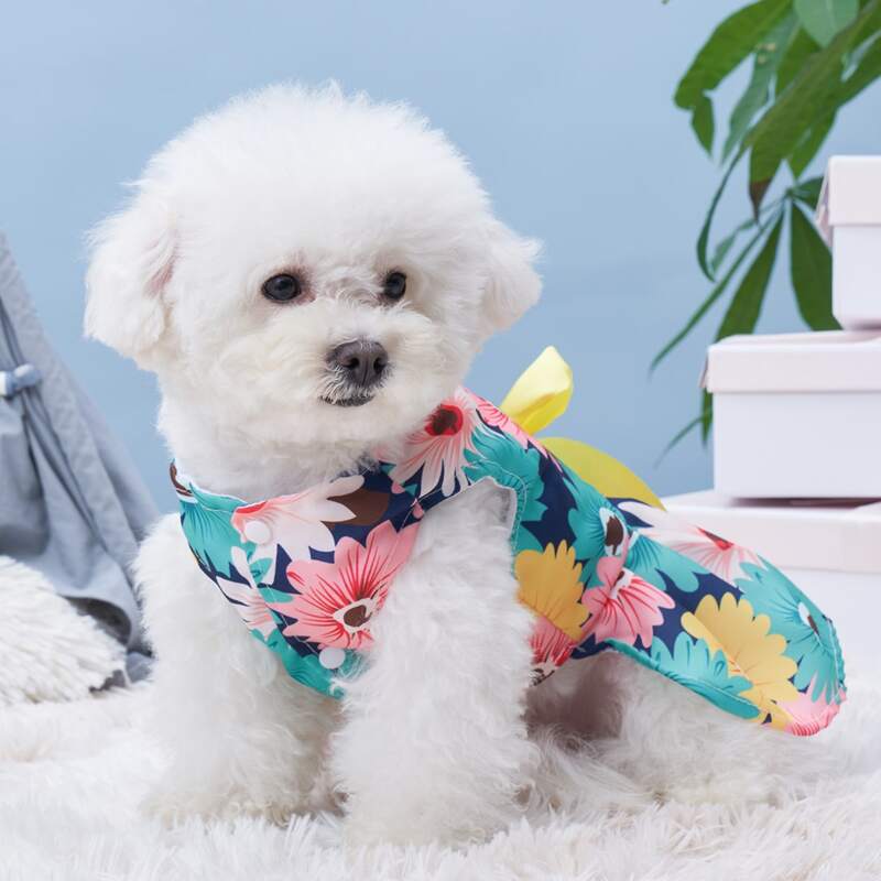 

Flower Print Pet Dress, Multicolor