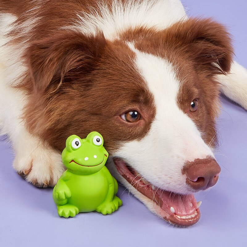 

Frog Shaped Pet Sound Toy, Green