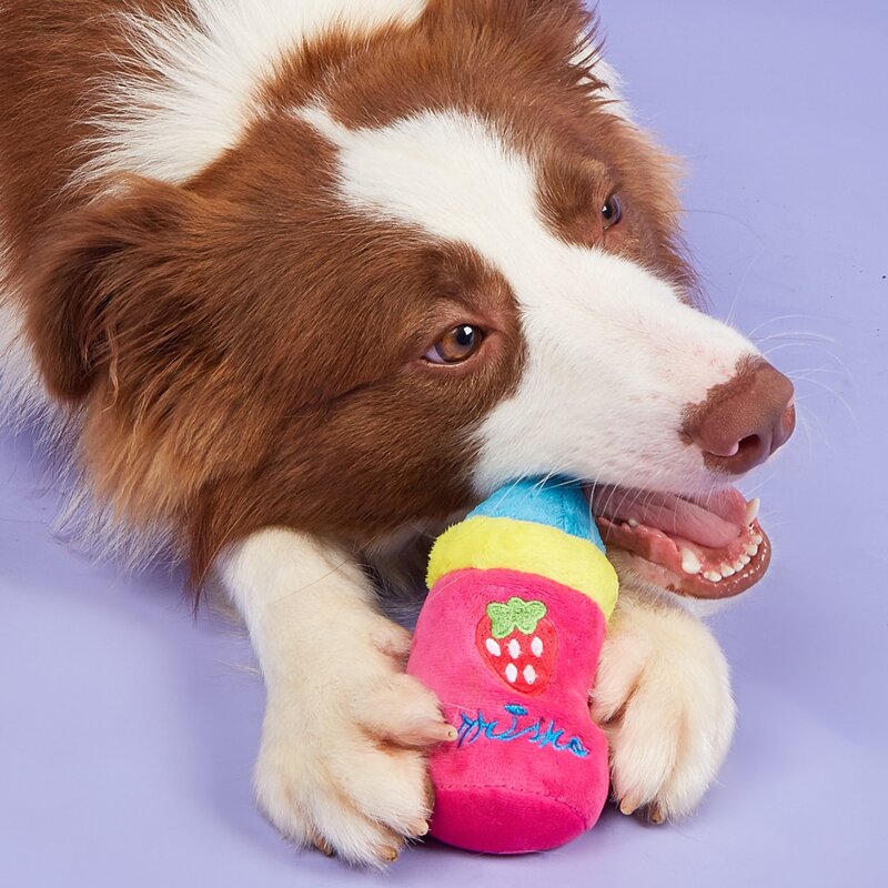 

Milk Bottle Shaped Pet Plush Toy, Multicolor