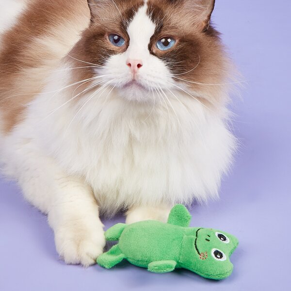 

Frog Shaped Pet Plush Toy, Green