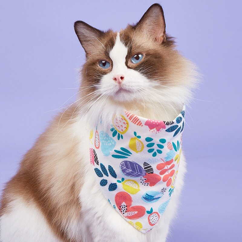 

Fruit & Plants Print Pet Bandana, Multicolor