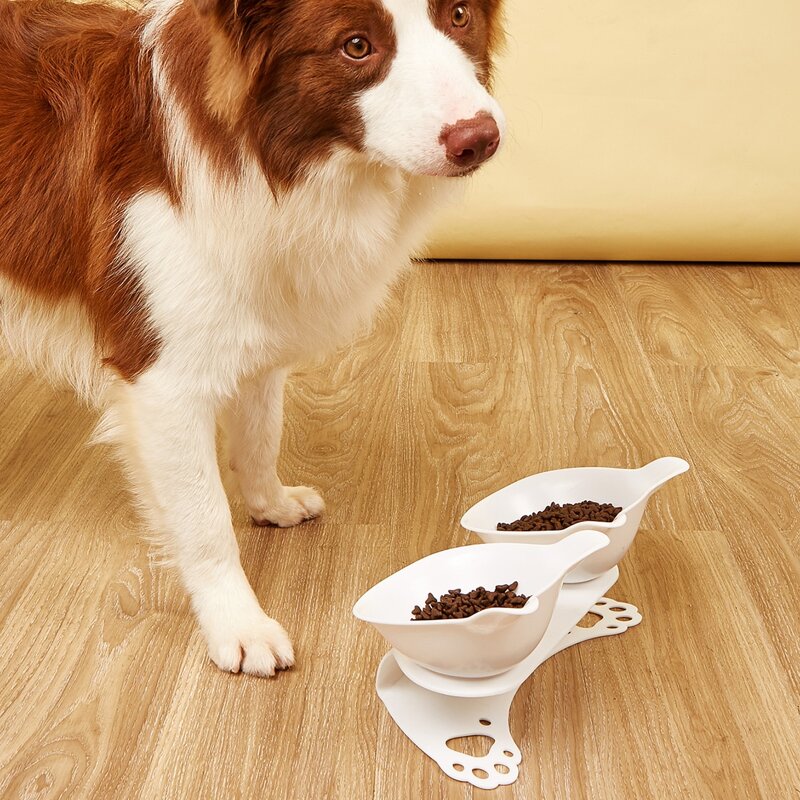 

1pc Cat Design Double Pet Bowl, White