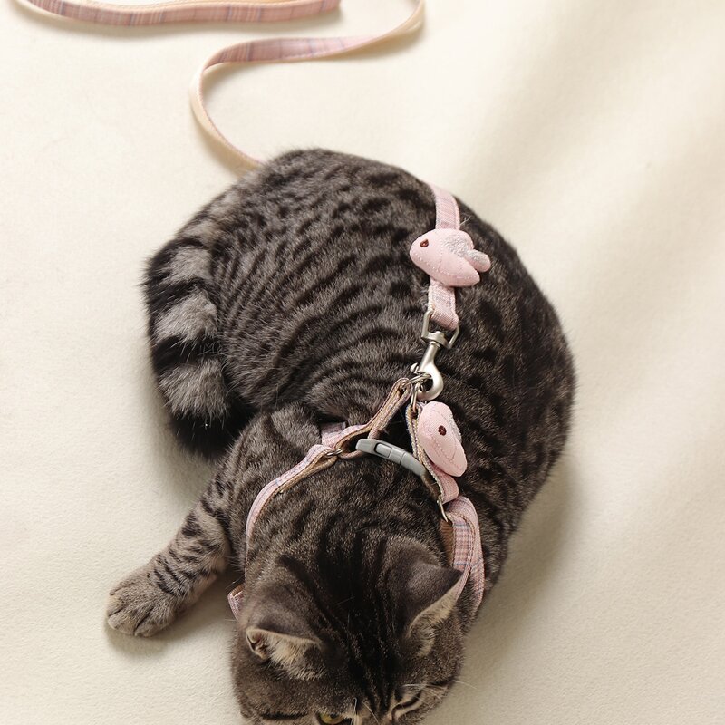 

1pc Fish Decor Pet Harness & 1pc Leash, Pink
