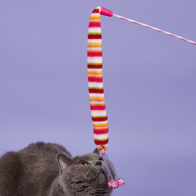 

1pc Rainbow Stripe Cat Teaser Wand & 1pc Ball, Multicolor