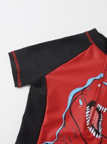 Boys Dinosaur Print Zip One Piece Swimsuit - Multicolor - View 5
