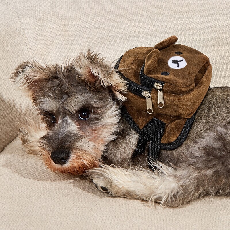 

1pc Cartoon Bear Pattern Pet Backpack, Coffee brown