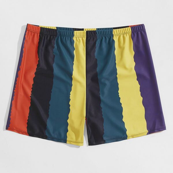 

Men Striped Swim Shorts, Multicolor