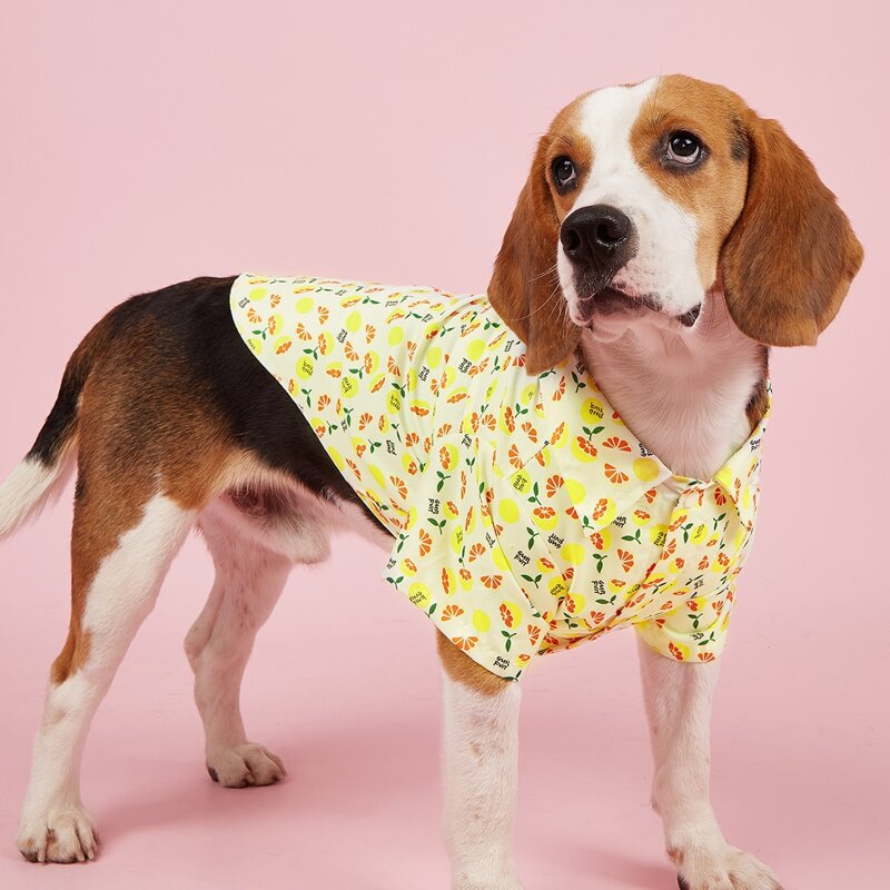 

Flower Print Pet Shirt, Multicolor