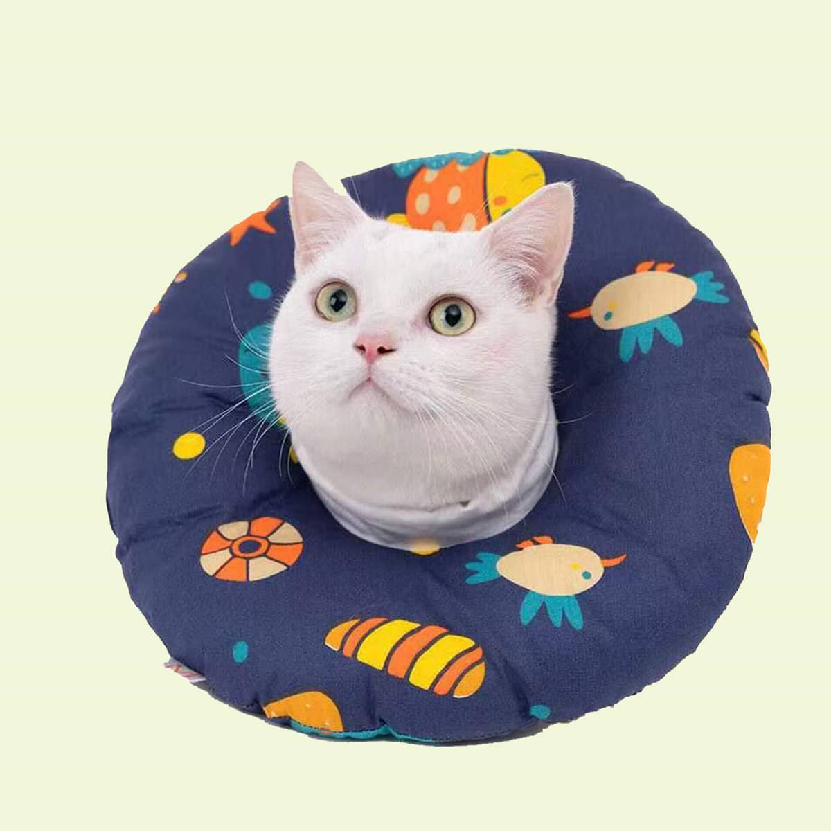 

Cartoon Graphic Pet Recovery Collar, Multicolor