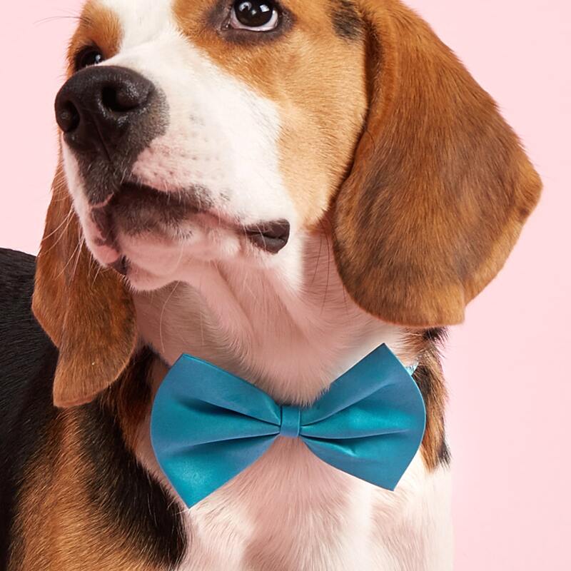 

Solid Color Pet Bow, Baby blue