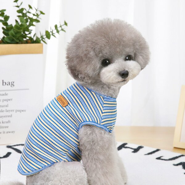 

Striped Pattern Pet Tank, Blue