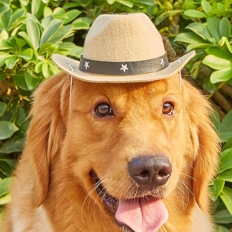 

1pc Pet Cowboy Hat, Brown