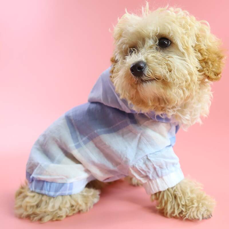 

1pc Pet Hooded Sun Protection Shirt, Blue