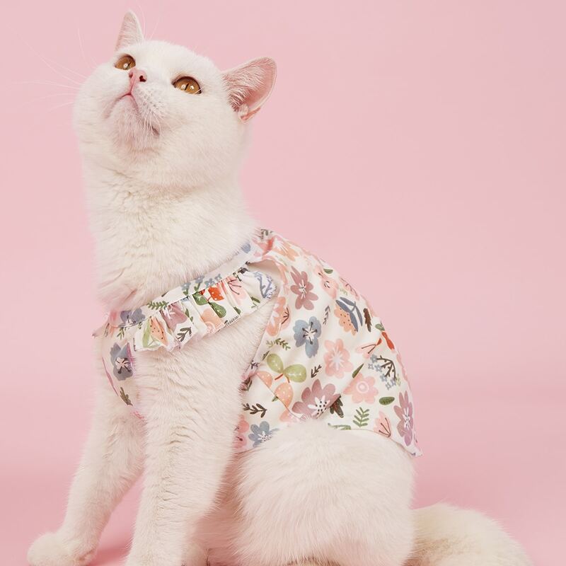 

Flower Print Pet Dress, Multicolor