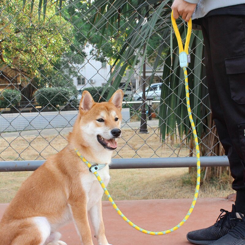 

1pc 2 In 1 Rope Pet Collar & Leash, Yellow