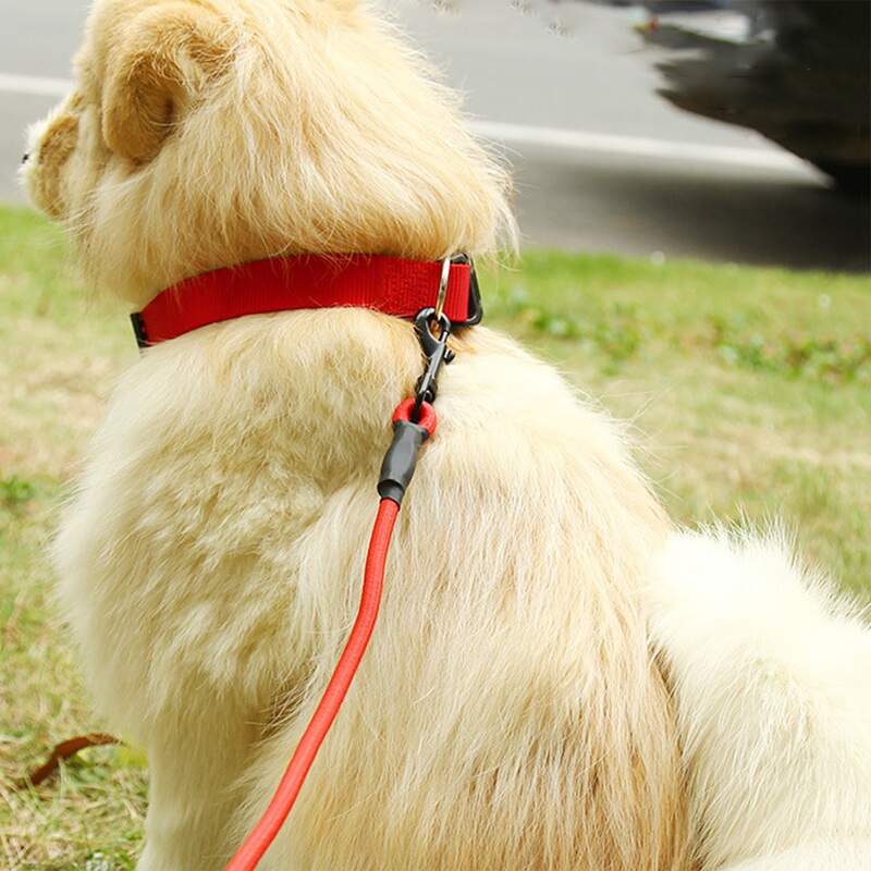 

Solid Color Pet Collar, Red