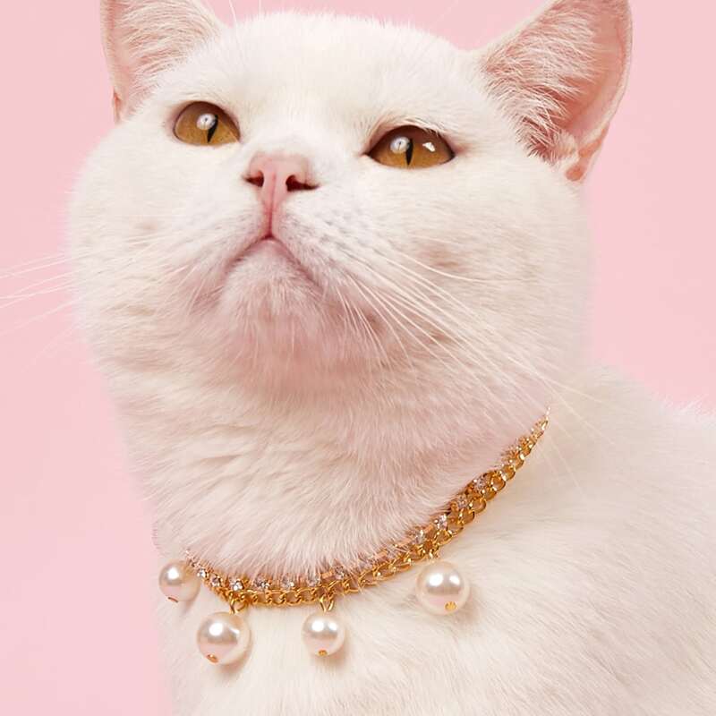 

Pearl Pendant Chain Pet Collar, Gold
