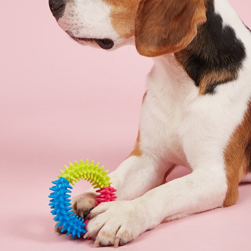 

1pc Pet Chew Toy Ring, Multicolor